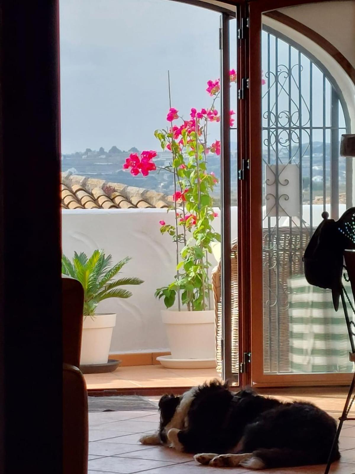 Casita Vida Moraira * Benitachell