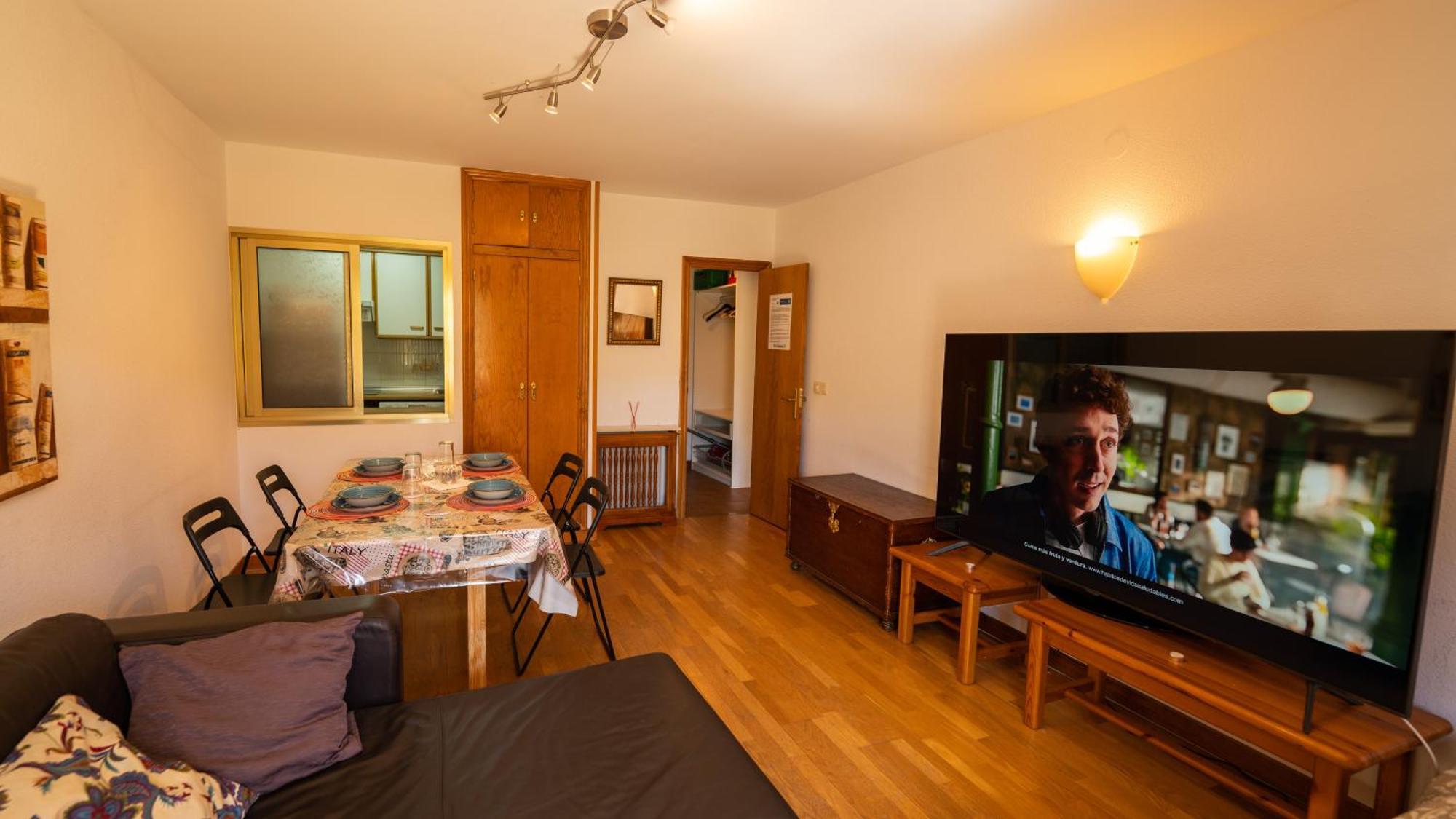 Apartment Apartamentos Formigal Formigal