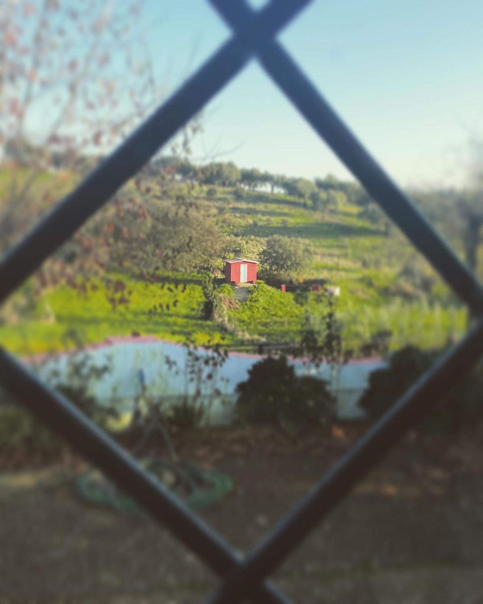 La Casa Barata,