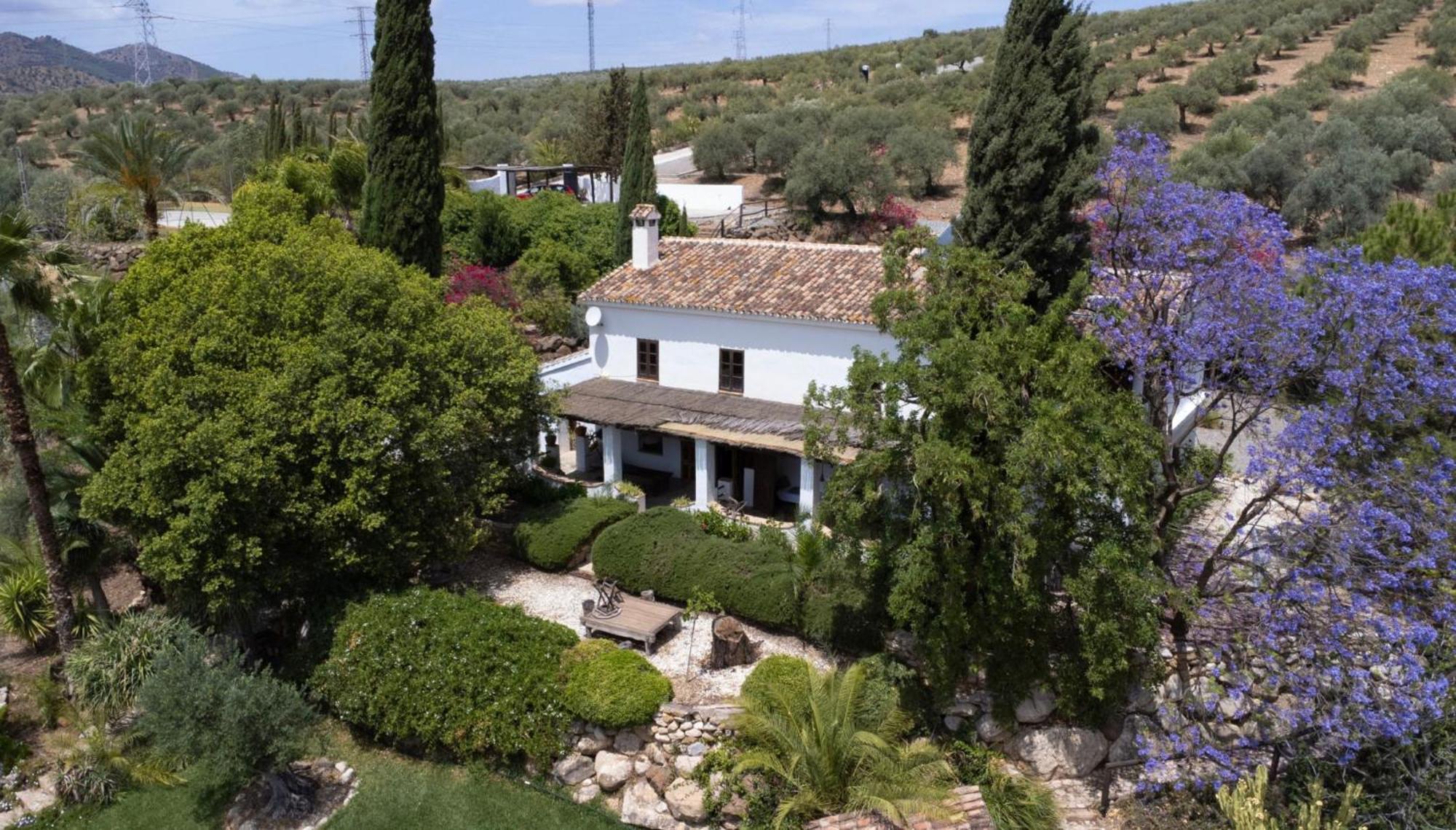 Dariana Padel & Pool Country house