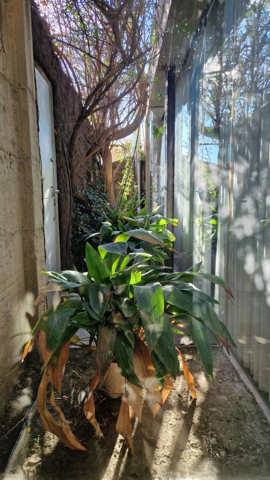 Holiday home Luxury Cave 100m Super Terraza Vistas Alhambra Wifi *