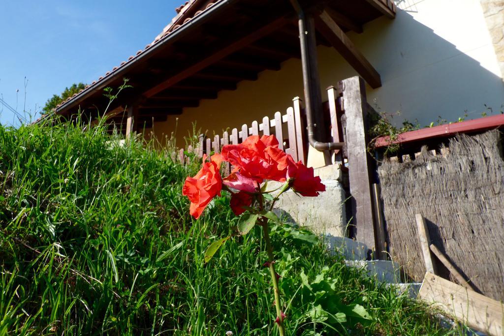 Casa rural La Casona De Palu