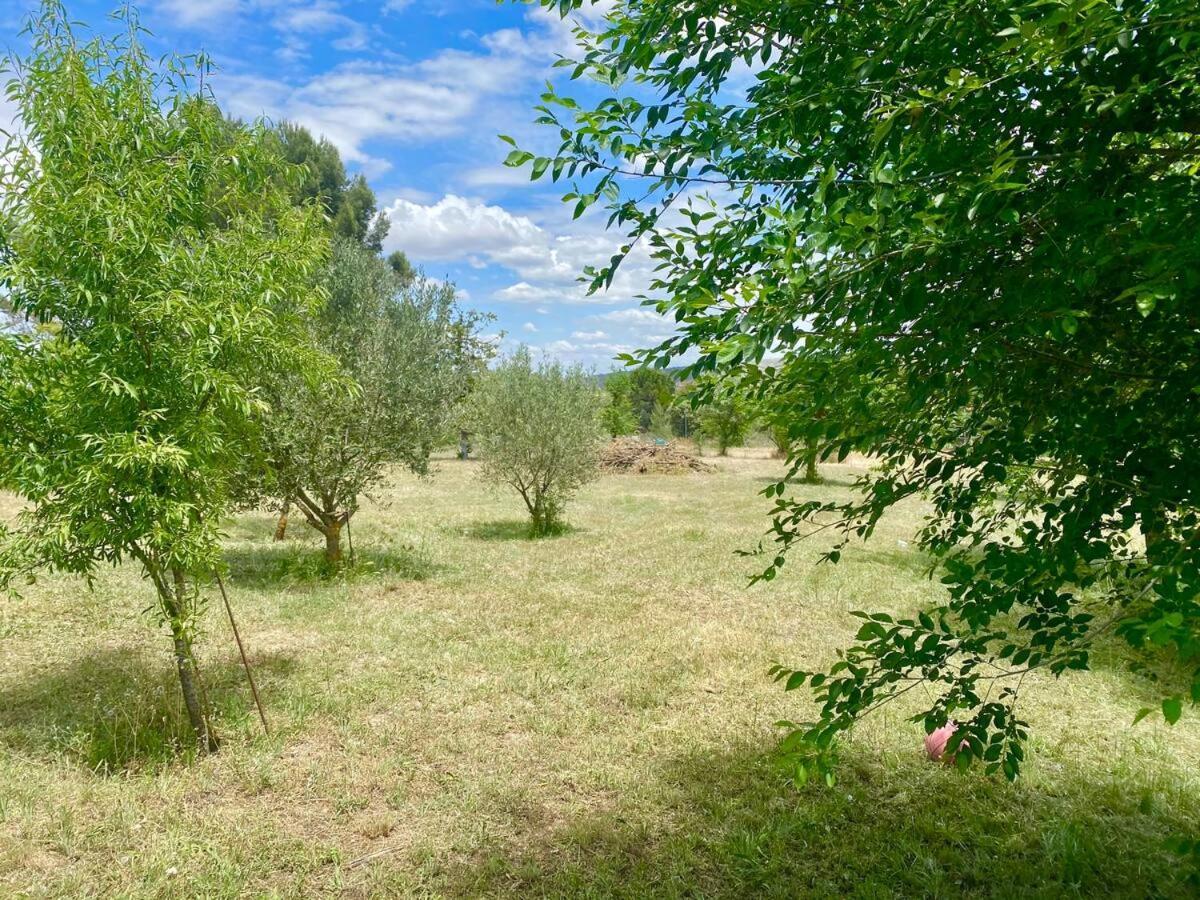 En Naturaleza C/ Piscina, Jacuzzi&bbq Villa Villar de Canas