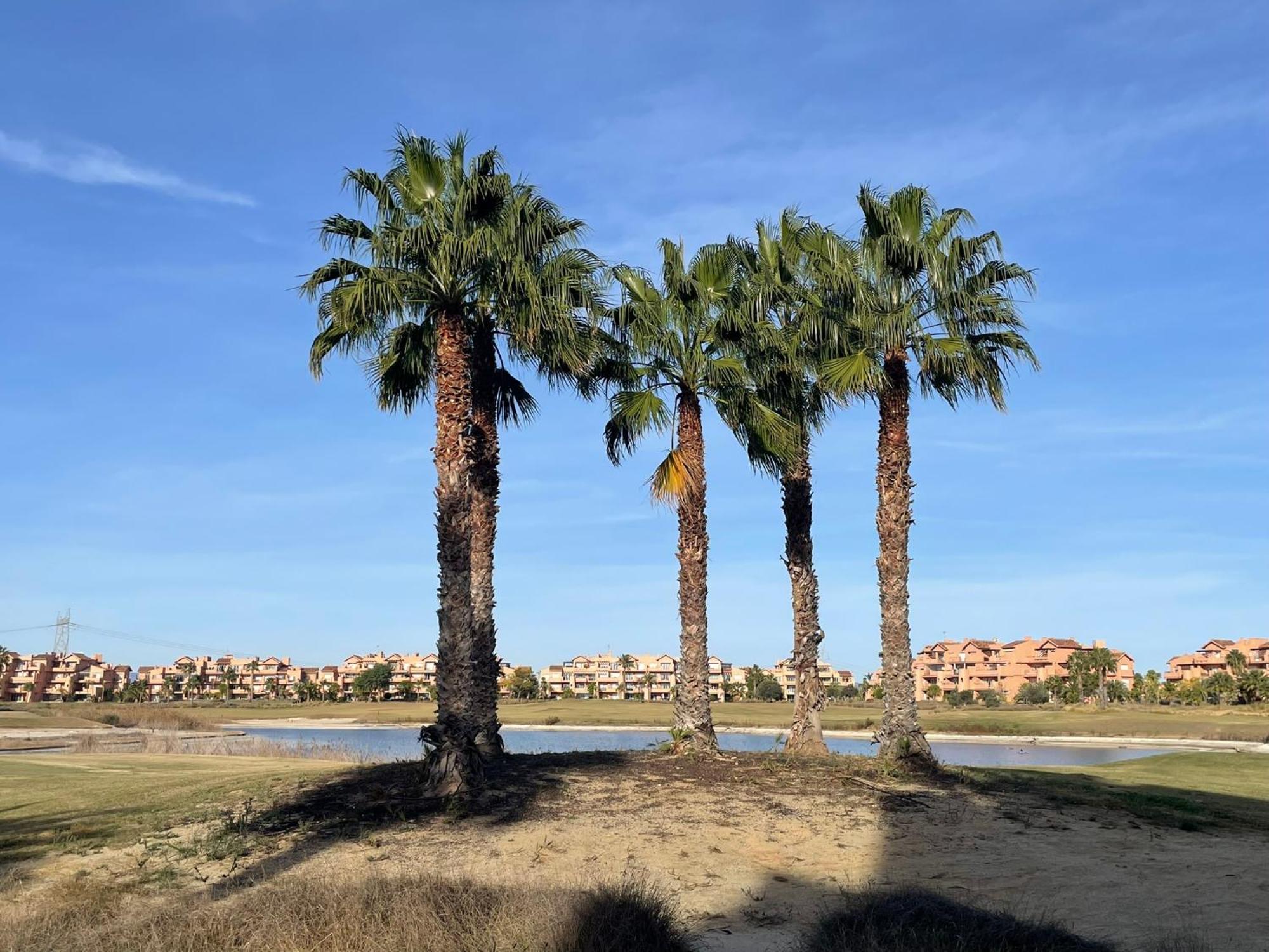 Lakeview 'casa Naranjas' Mar Menor Golf And Leisure Apartment Torre-Pacheco