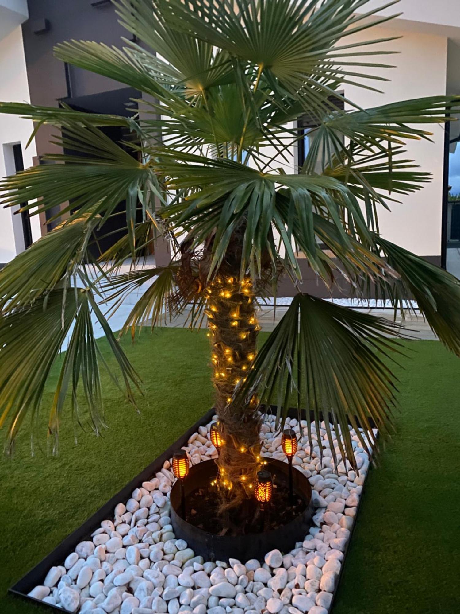 La Palmera Del Sotillo * La Lastrilla