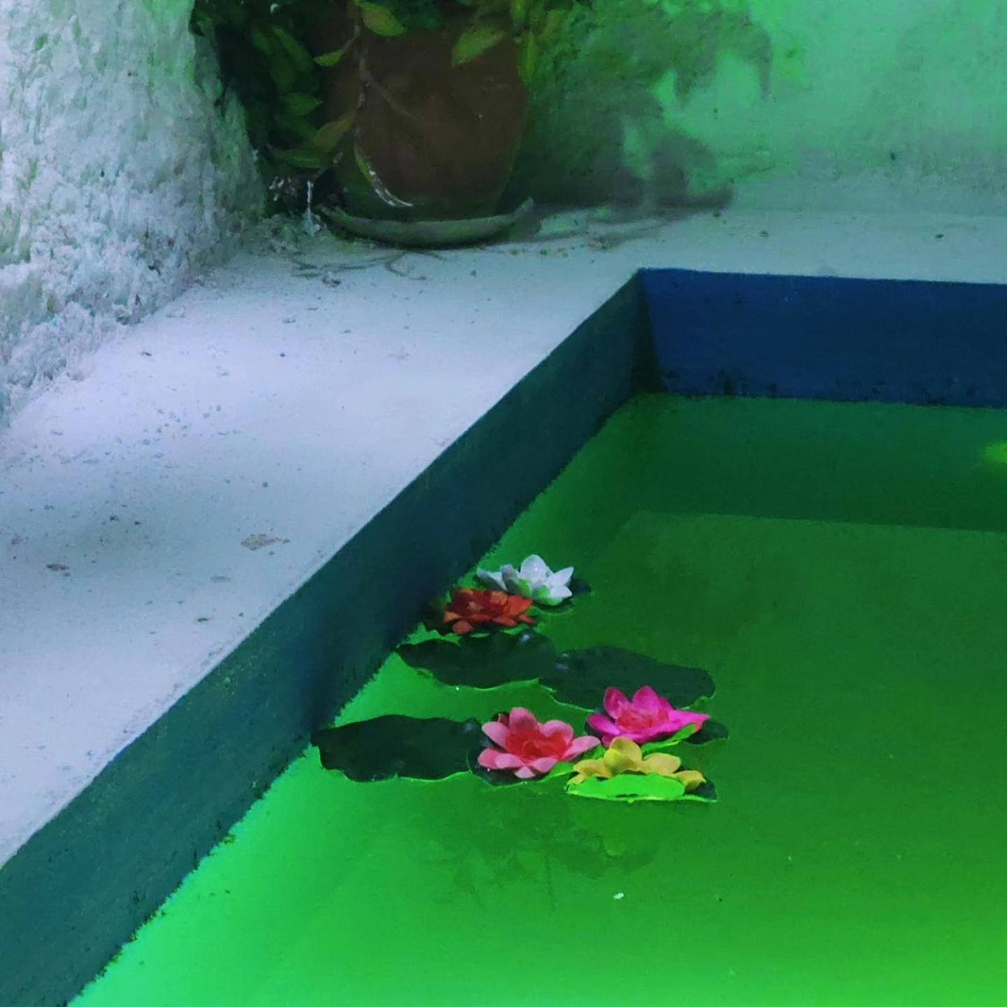 El Patio
