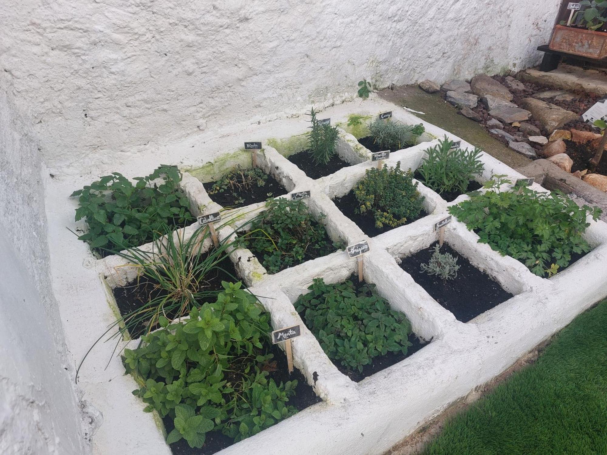 El Patio