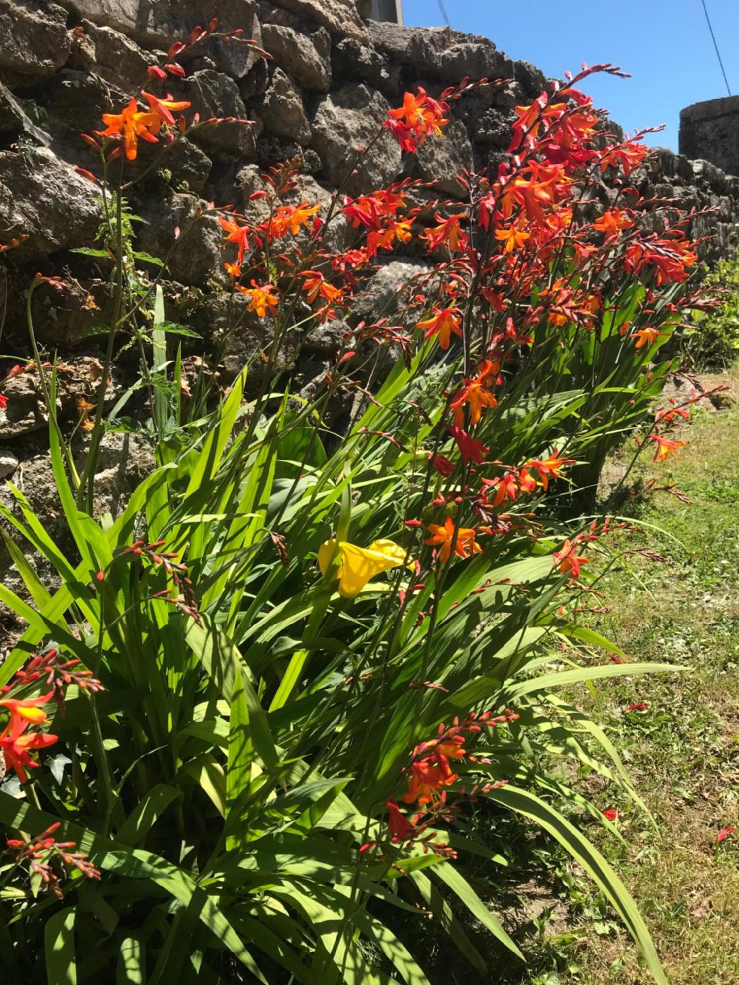 Casa A Canteira Holiday home