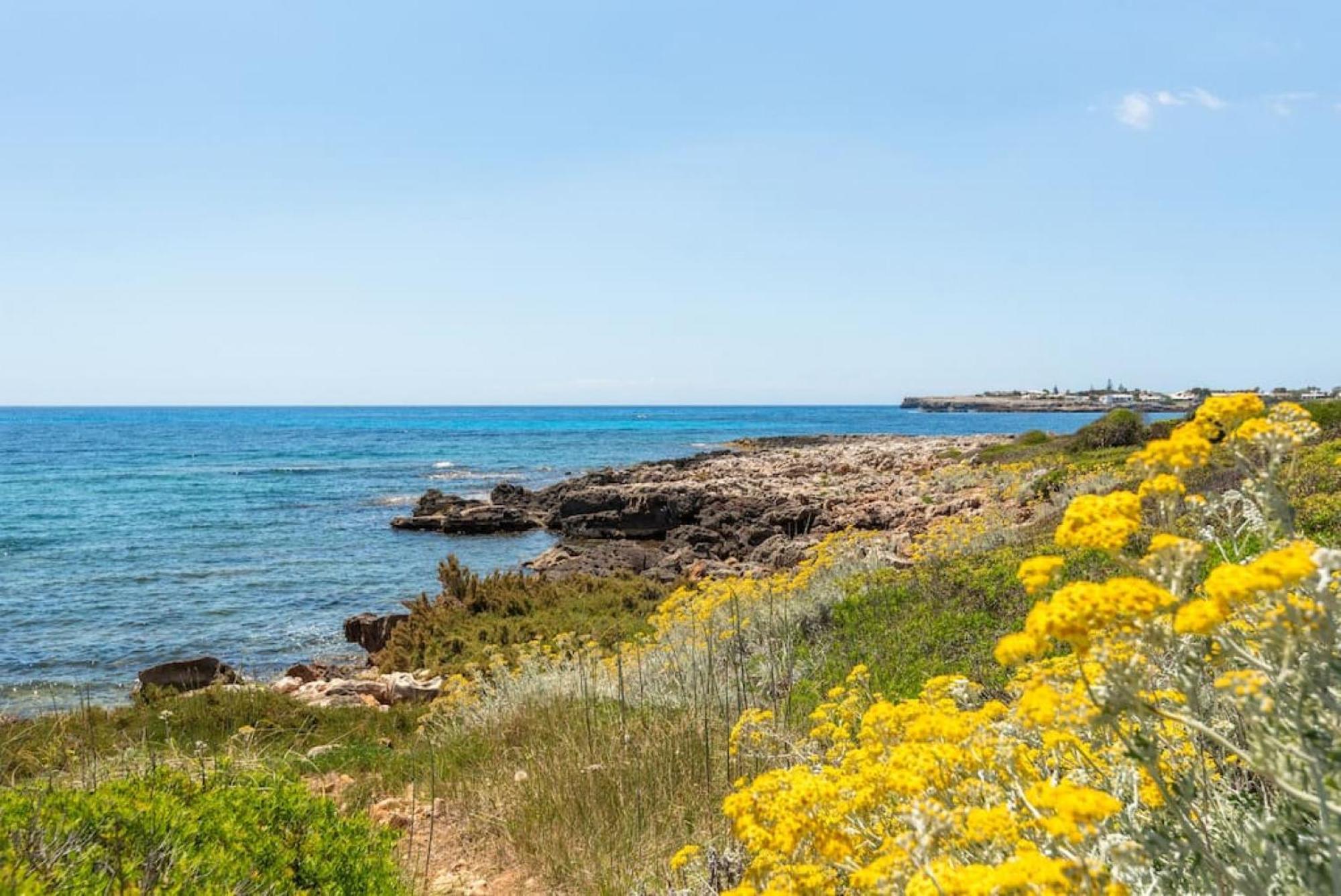 Delfin Villa