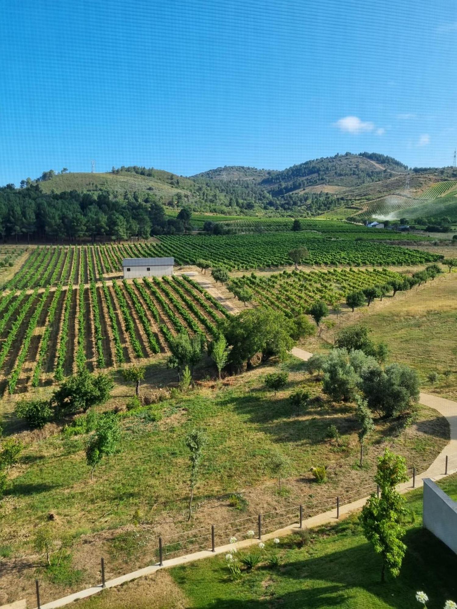 Boutique Esencial Hotel Villafranca Del Bierzo