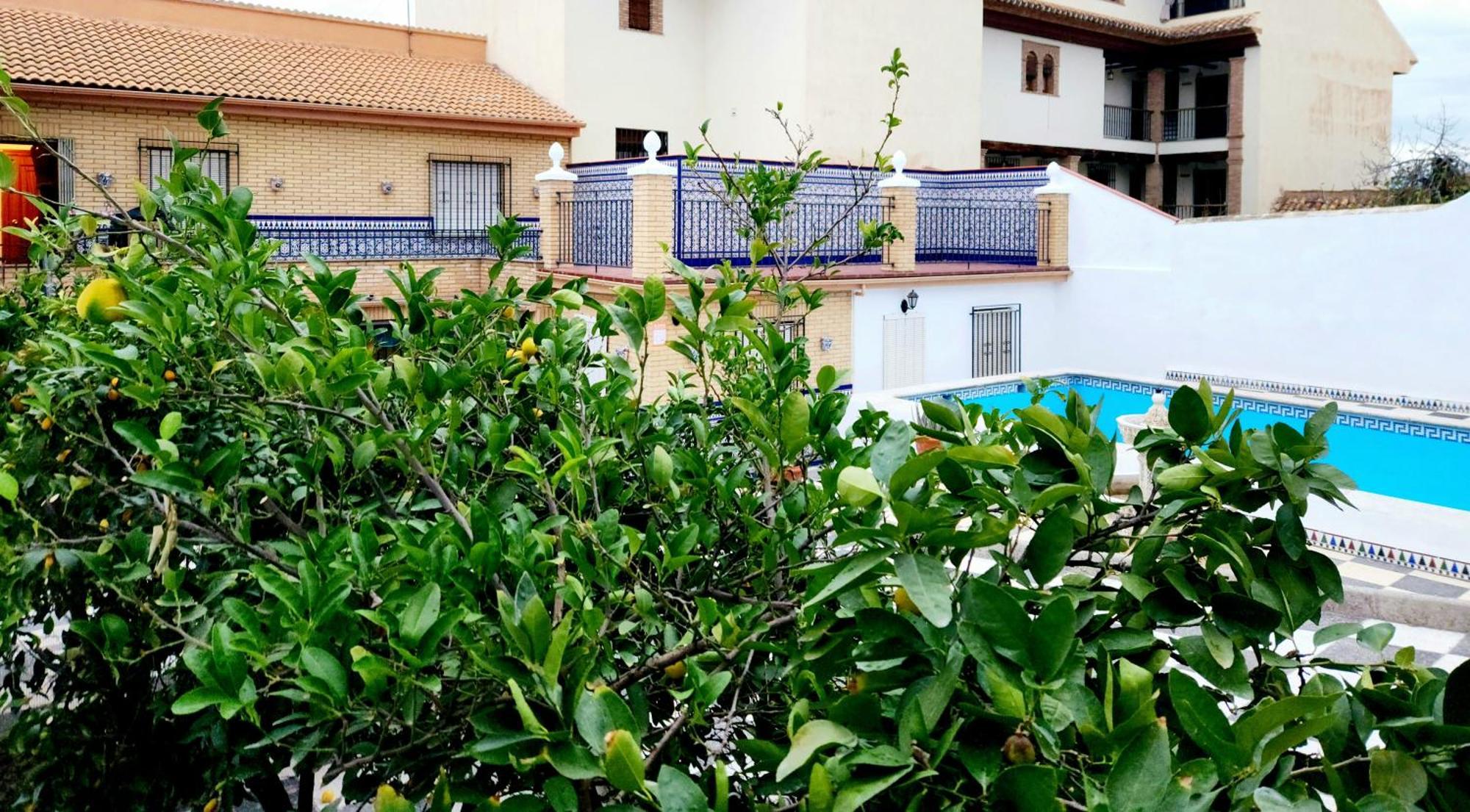 Casa El Chiquitin Apartamento La Zubia (Granada)