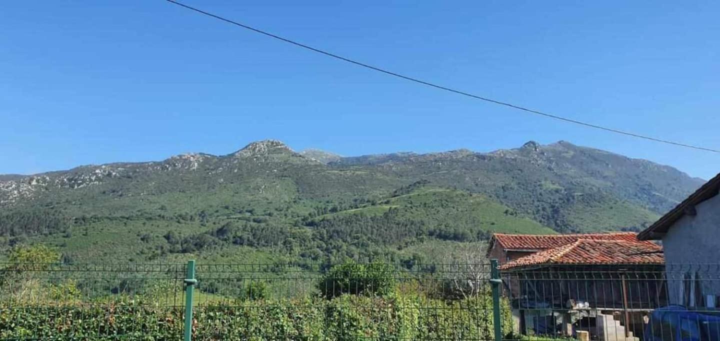 La Cepada * Carrandi
