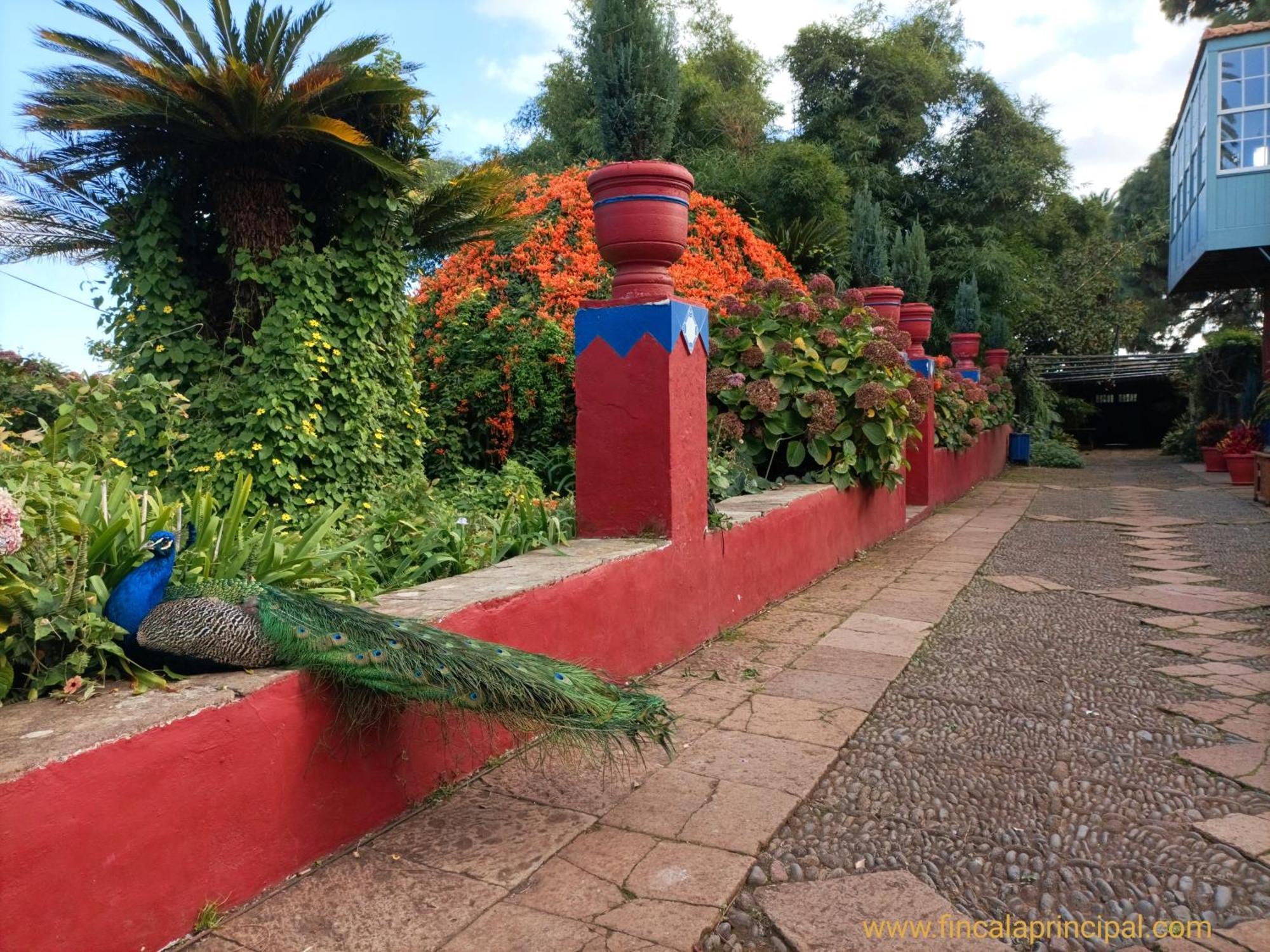La Principal Agroturismo *