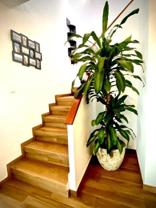 Apartment Mychoice Almadraba By Bossh!