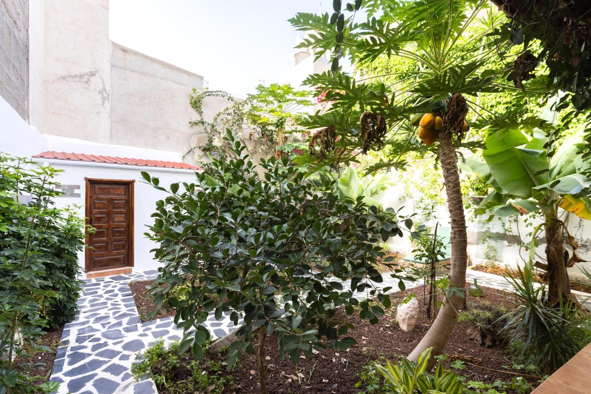 Garachico Center Secret Garden