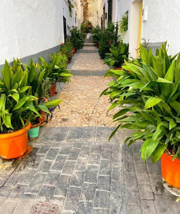 Mi Rincon Favorito Apartment Cogollos De La Vega
