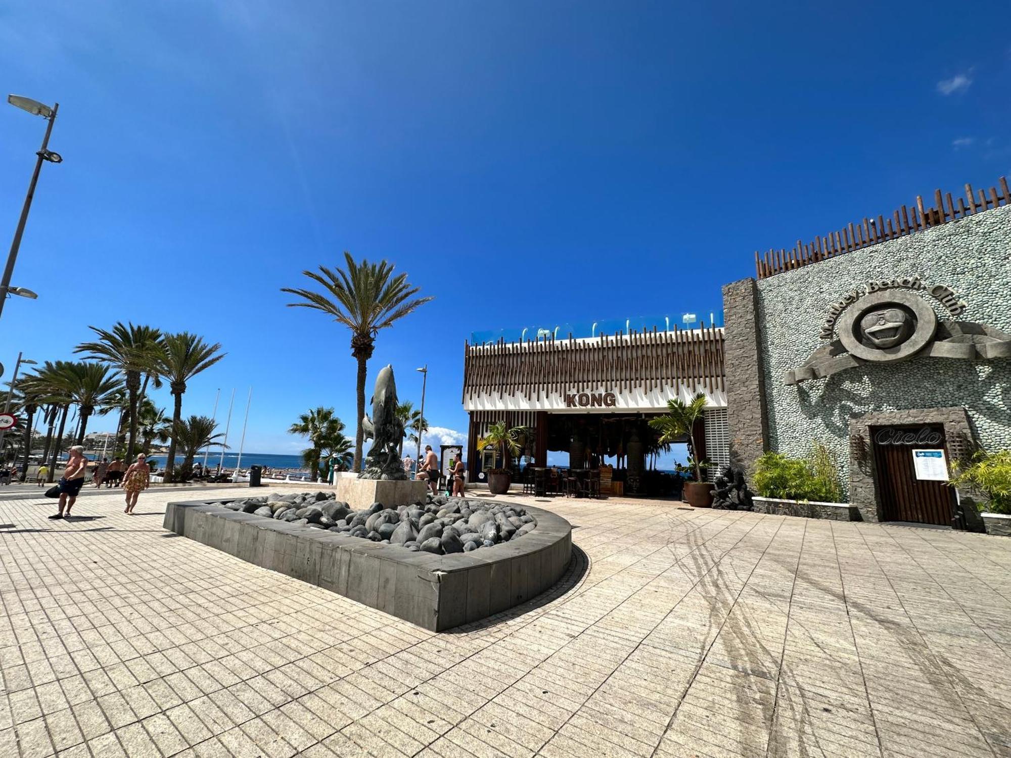 Apartment Torres De Yomely - Y2f Arona (Tenerife)