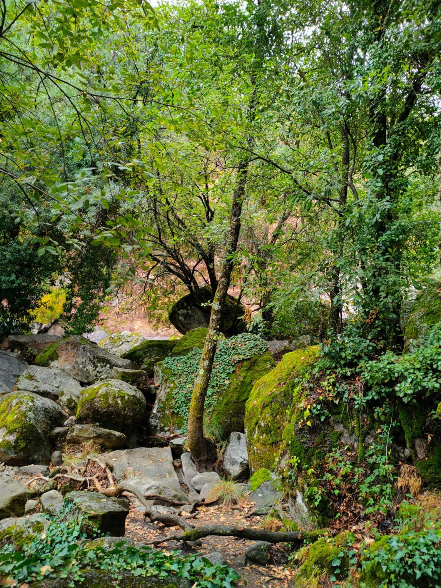 Acogedor Valle Del Jerte Piornal