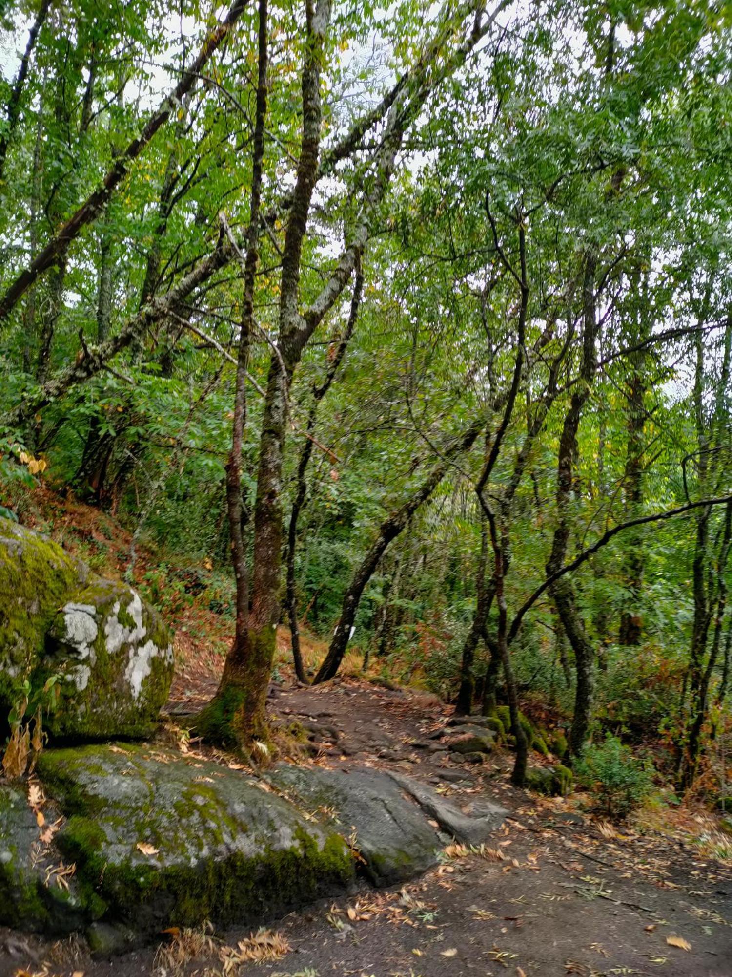 Acogedor Valle Del Jerte Piornal