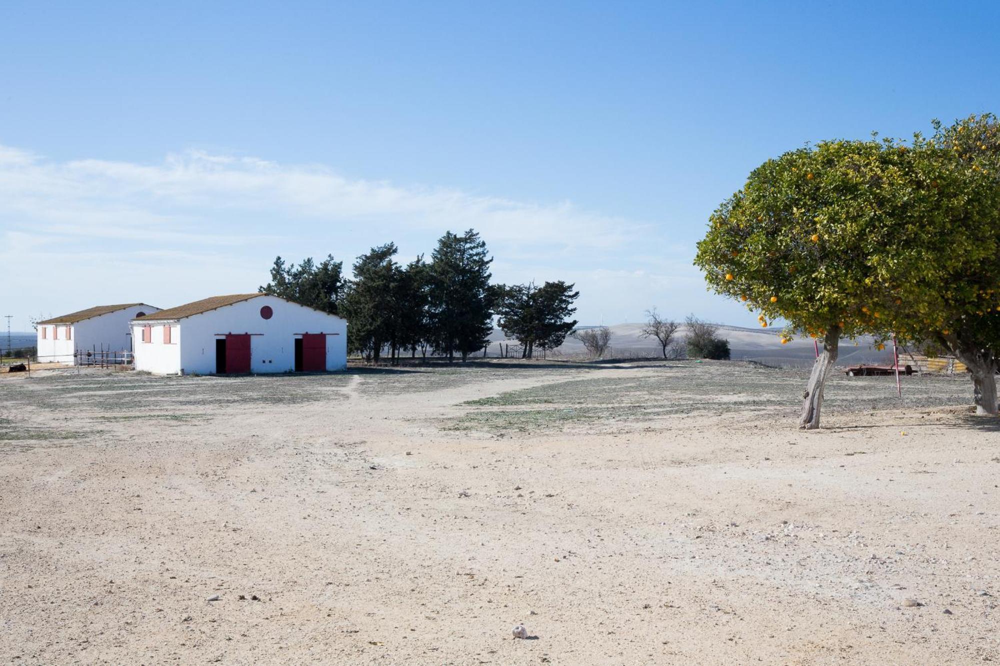Cortijo Rural La Mariscala Villa Jerez de la Frontera