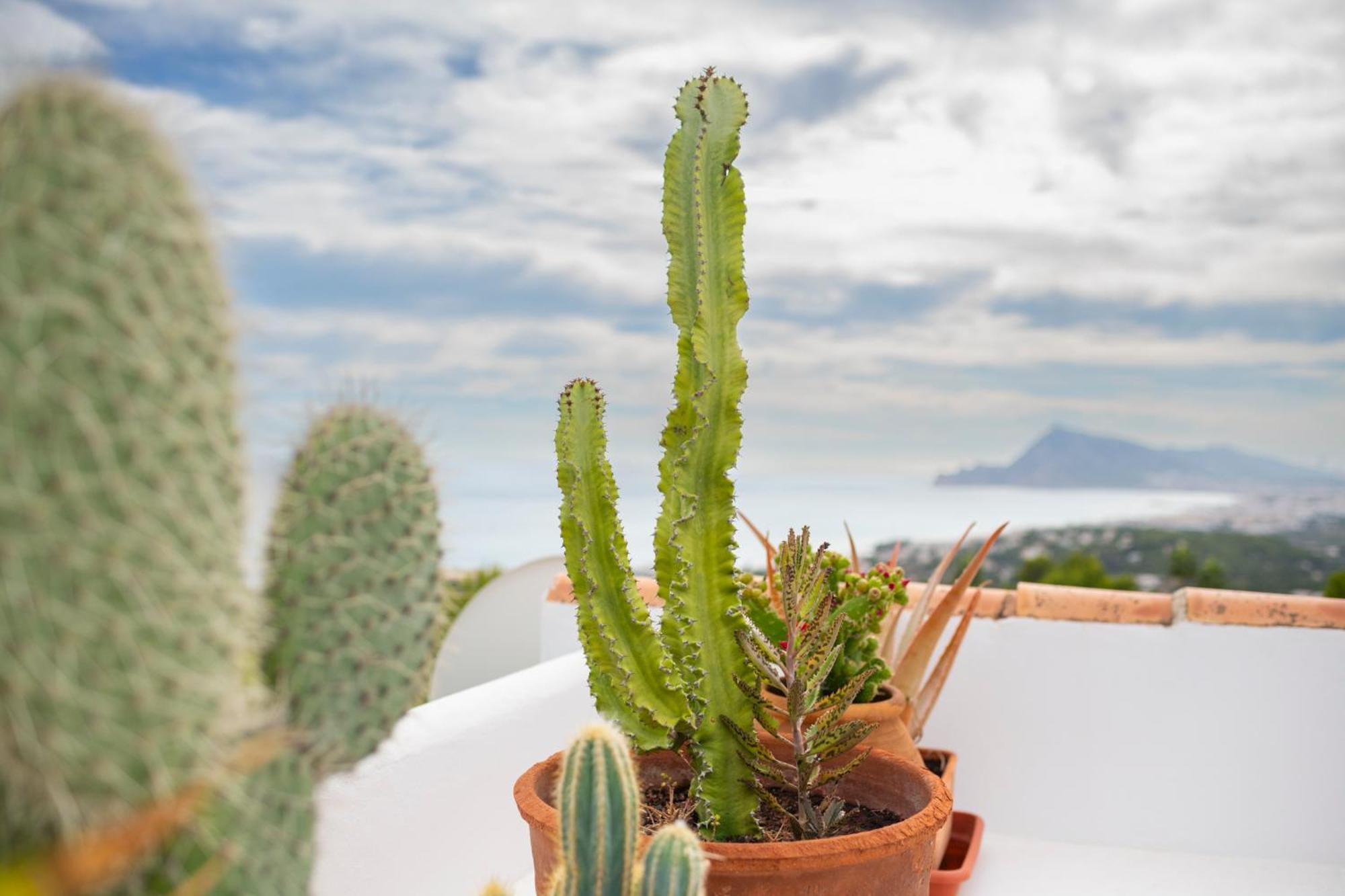 Villa La Corniche Piscine, Parking & Wi-fi Altea
