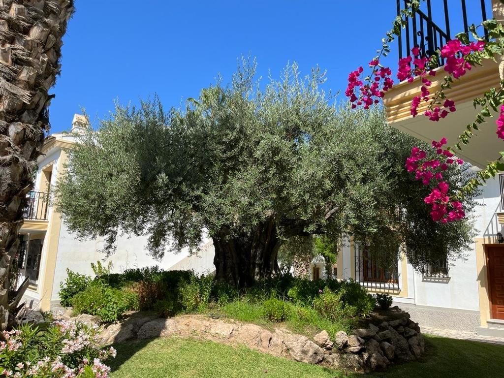 Luna Dorada Vera Playa- Bajo Apartamento Los Amarguillos