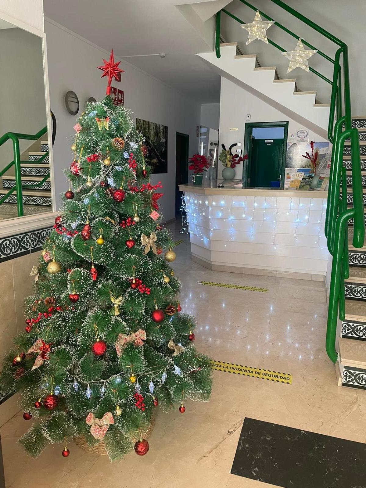 Apartahotel Gomera