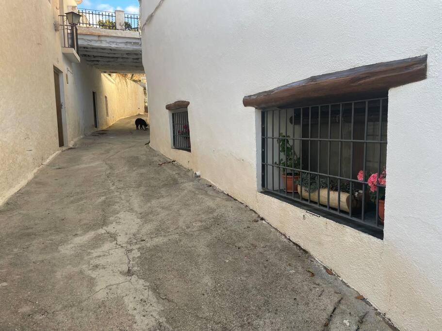 La Cuadra De Anita *