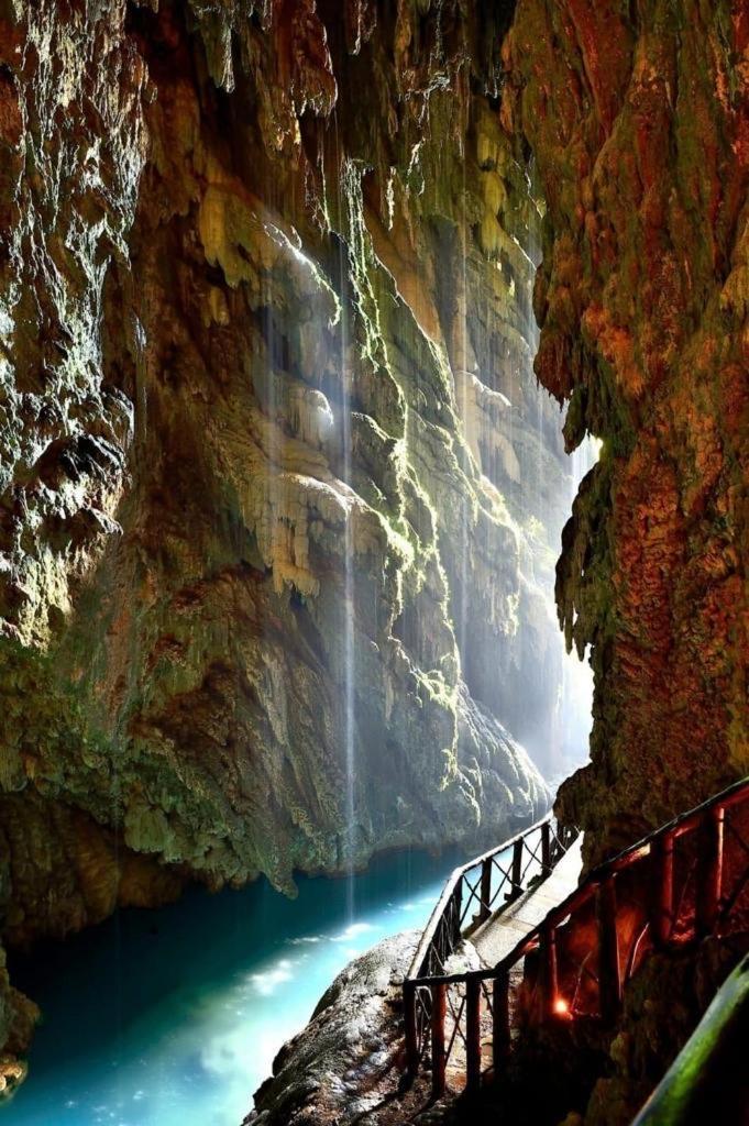 Nenufar * Alhama De Aragon