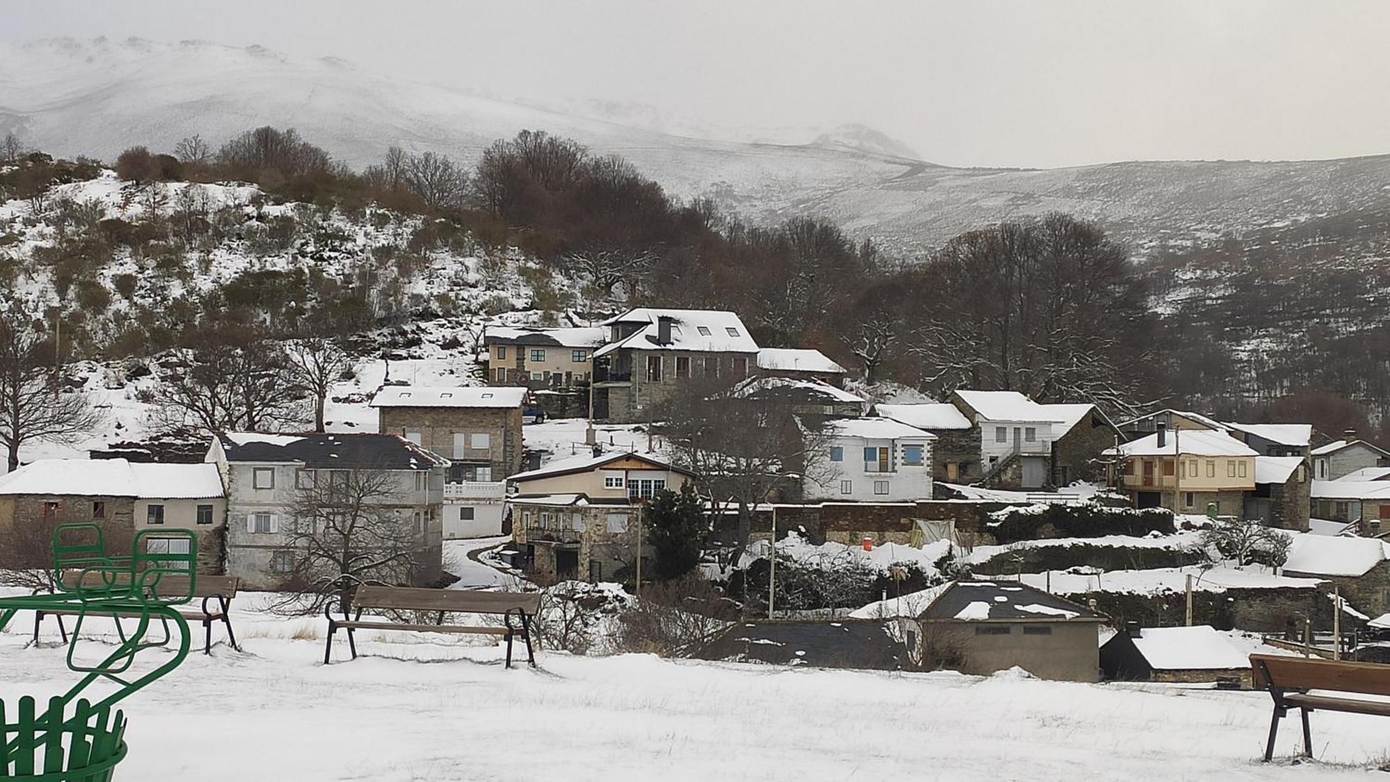 Pajarica * San Ciprián