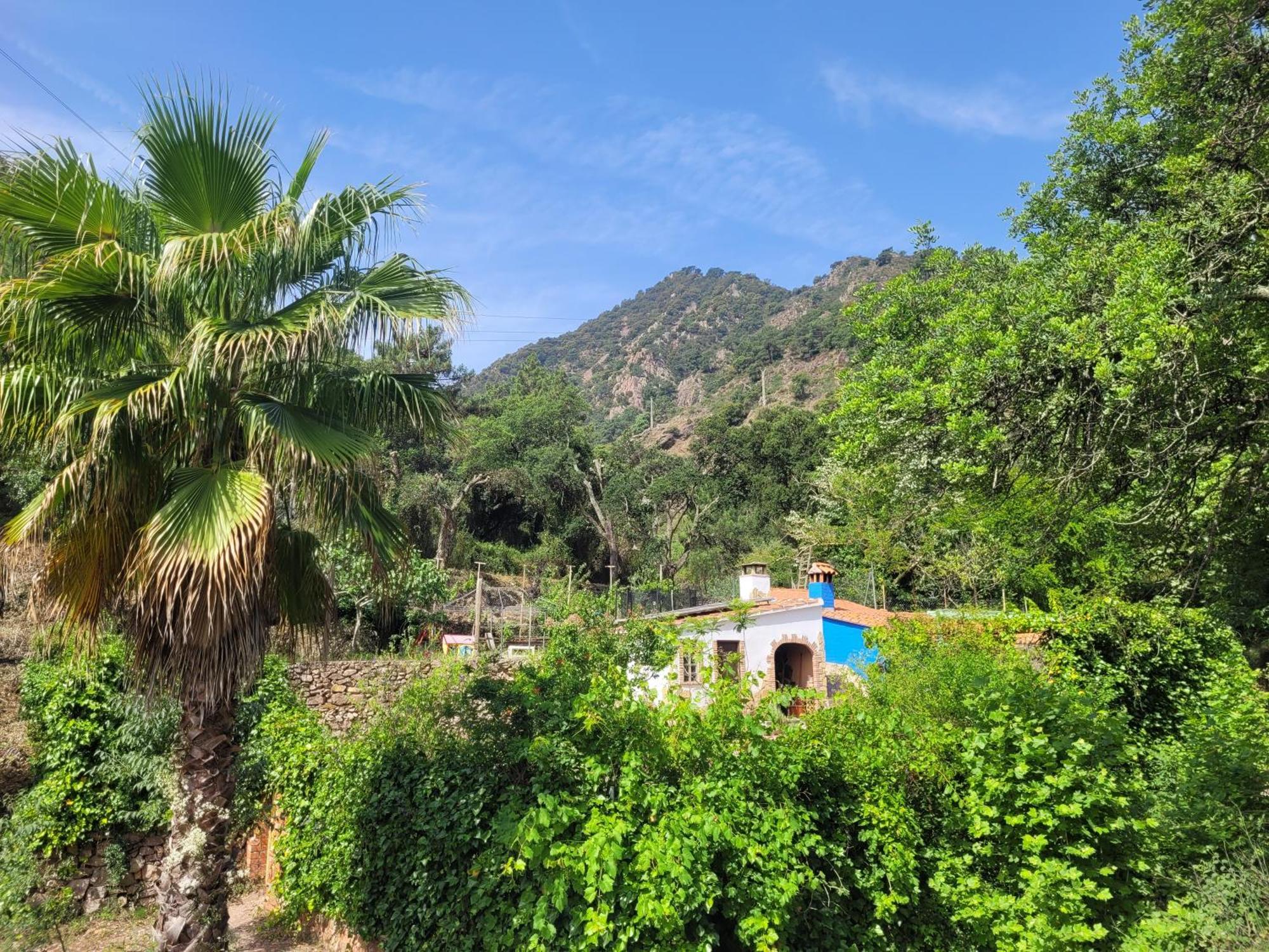 Trocito De Paraiso En La Sierra Espadan *