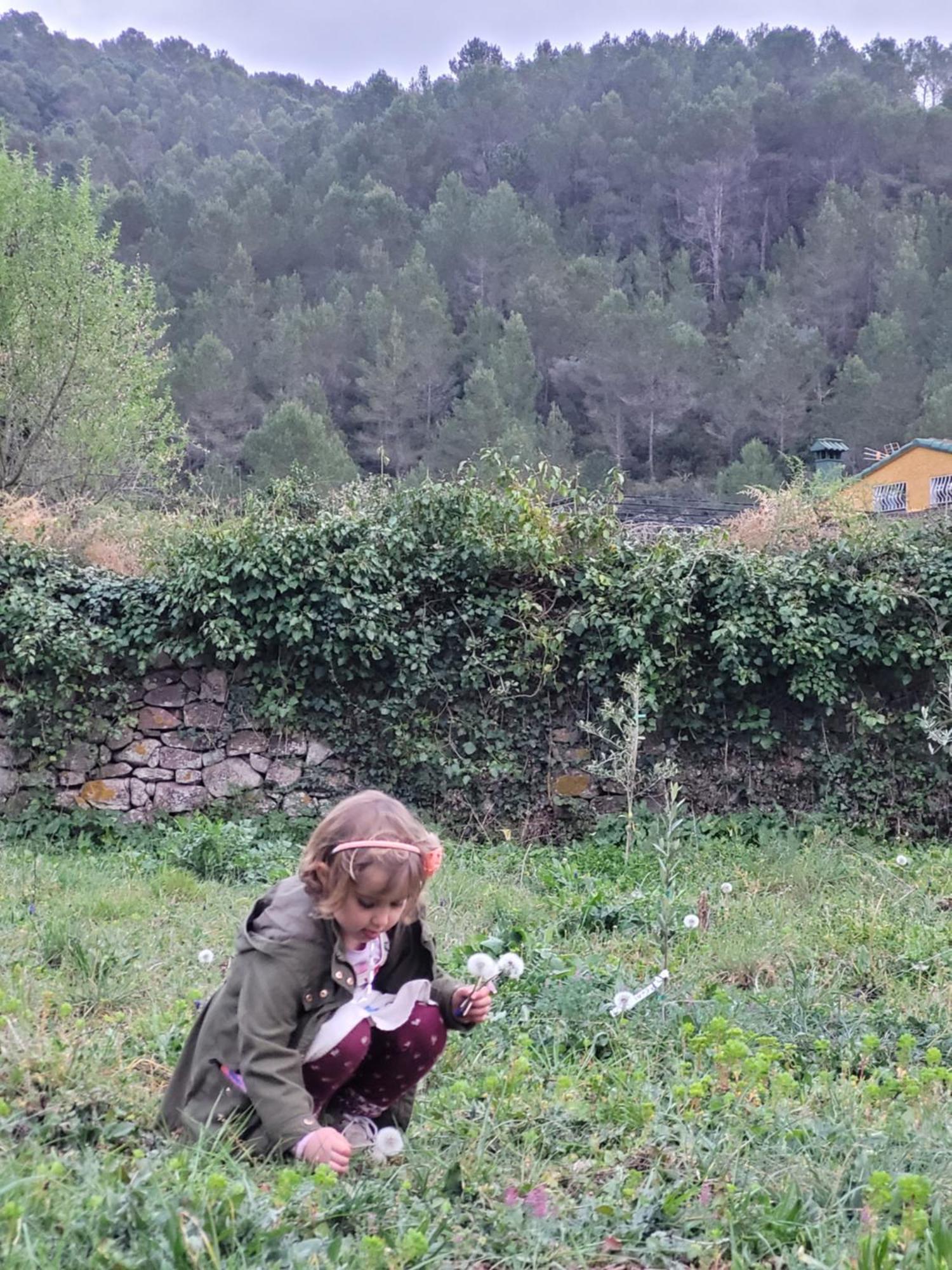 Trocito De Paraiso En La Sierra Espadan Chalet