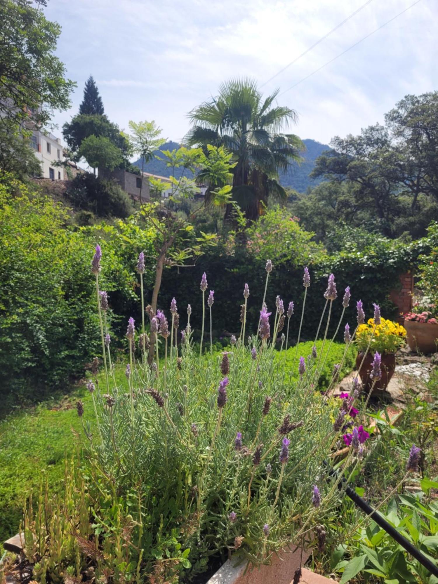 Trocito De Paraiso En La Sierra Espadan Eslida