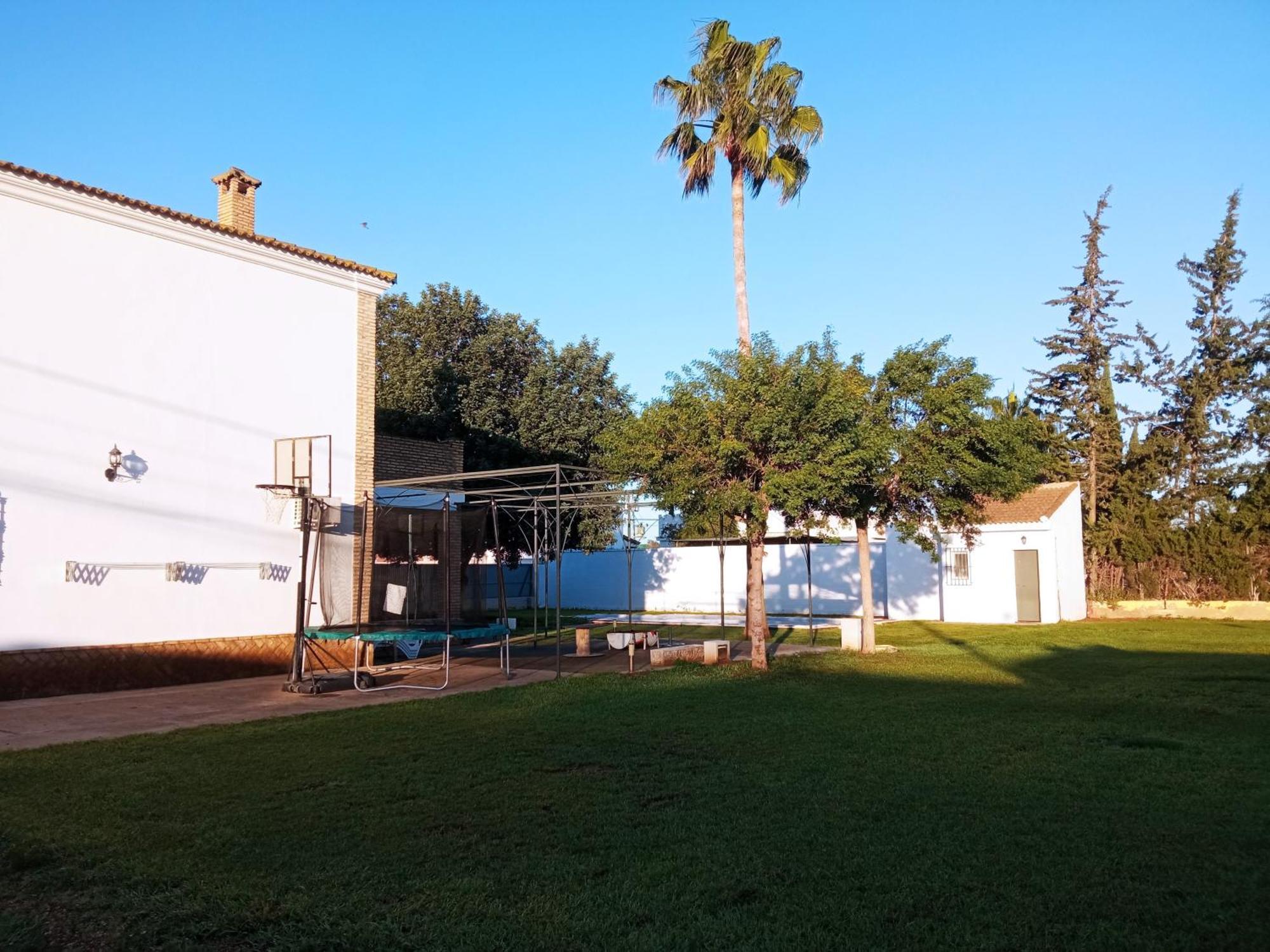 El Algarrobo *