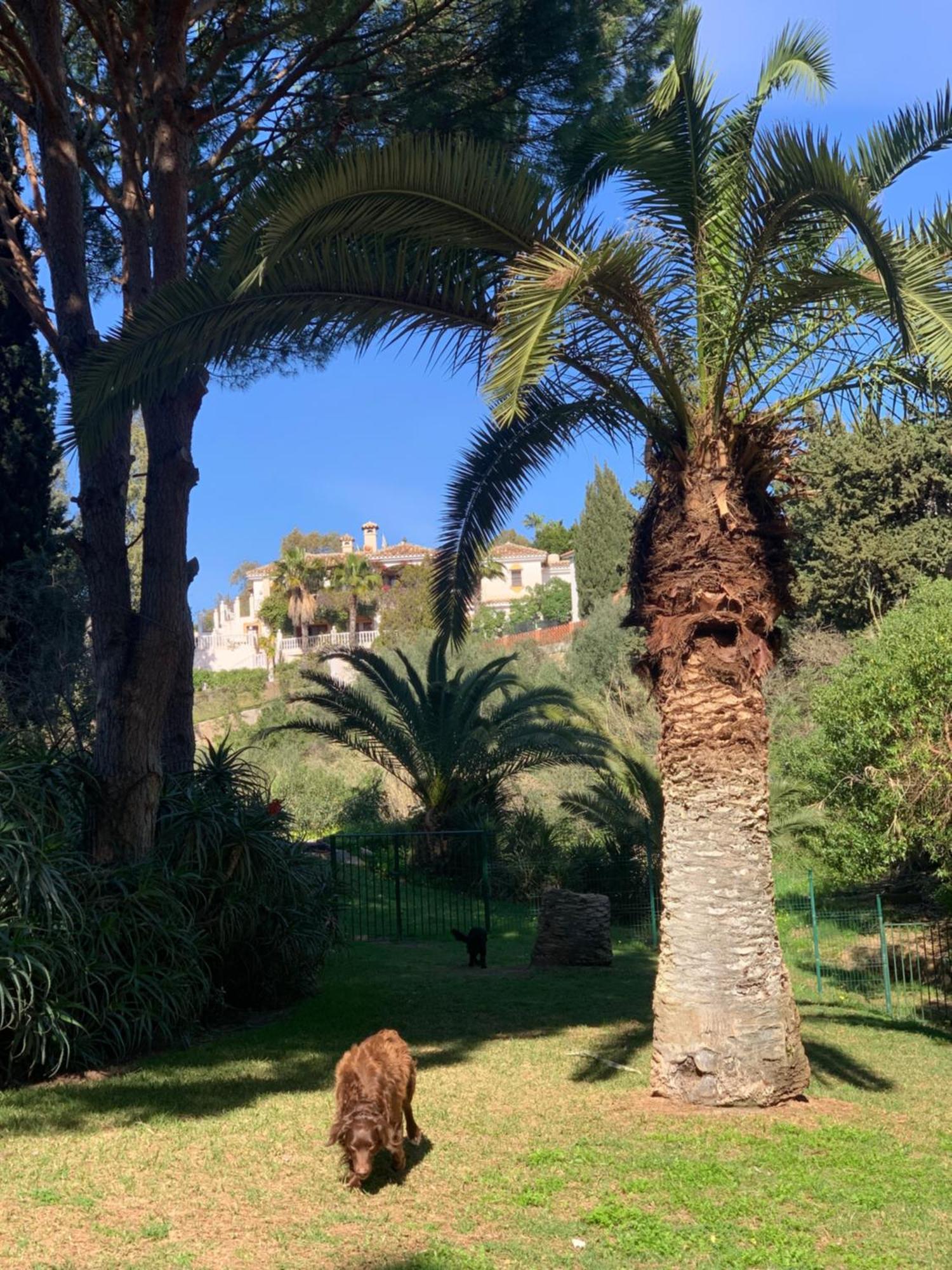 Casa Hermosa * Mijas