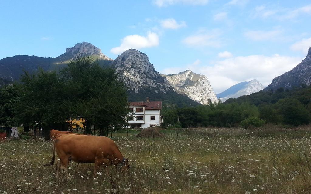 Apartamento En Cabrales Apartment Arenas De Cabrales