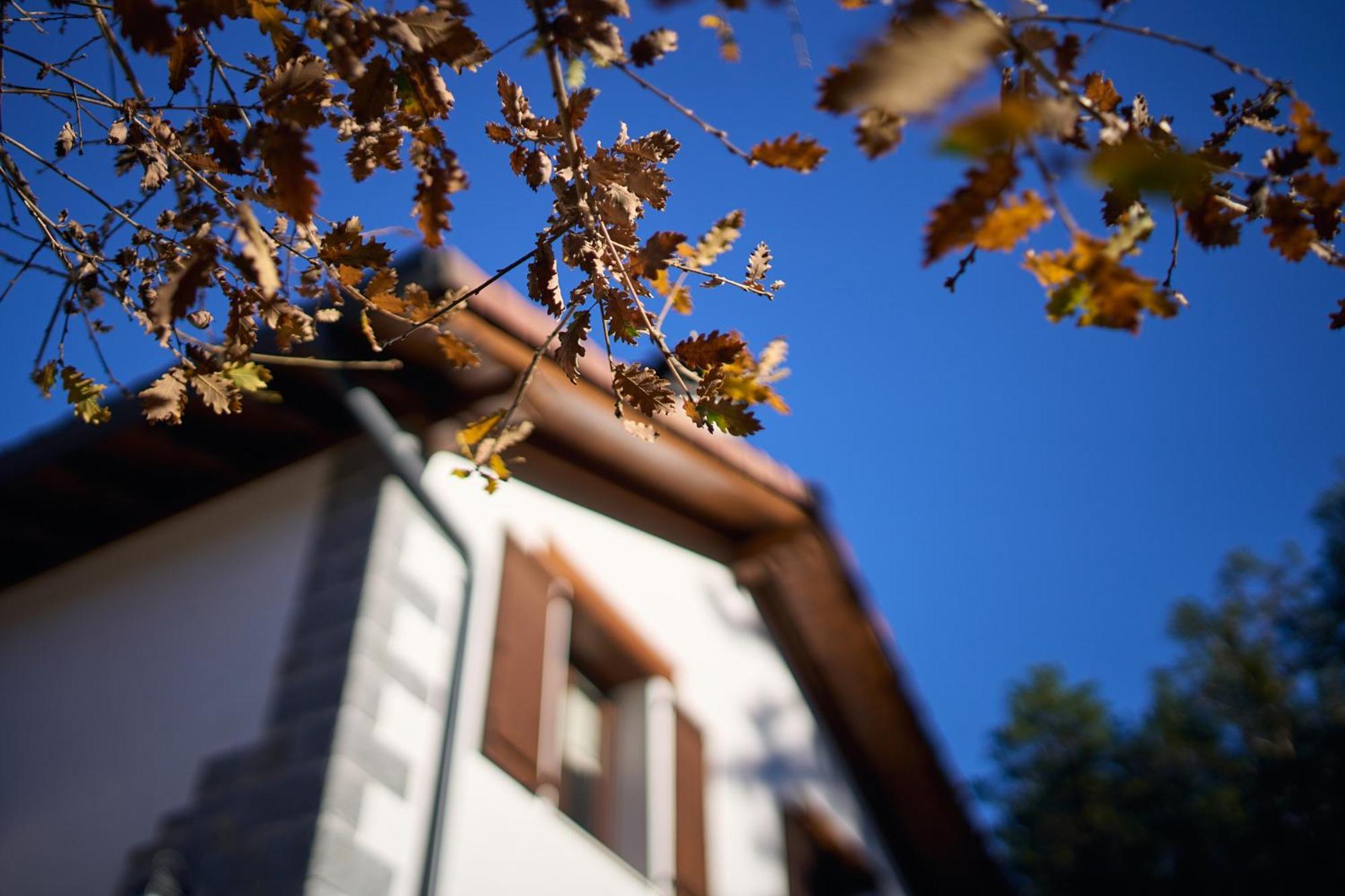 Arpetxea Chalet