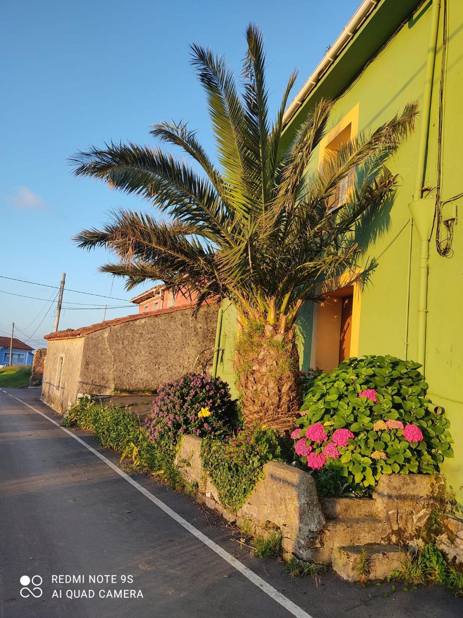 Casa Carola Apartment Viodo