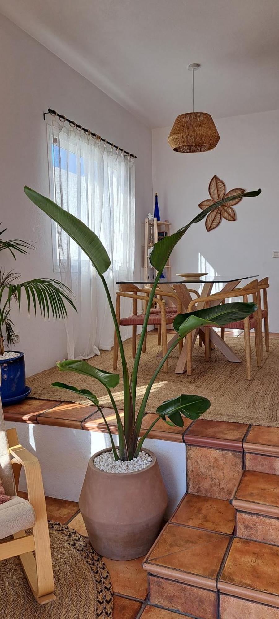 Cocomar I - Peace Oasis With Sea Views Guatiza