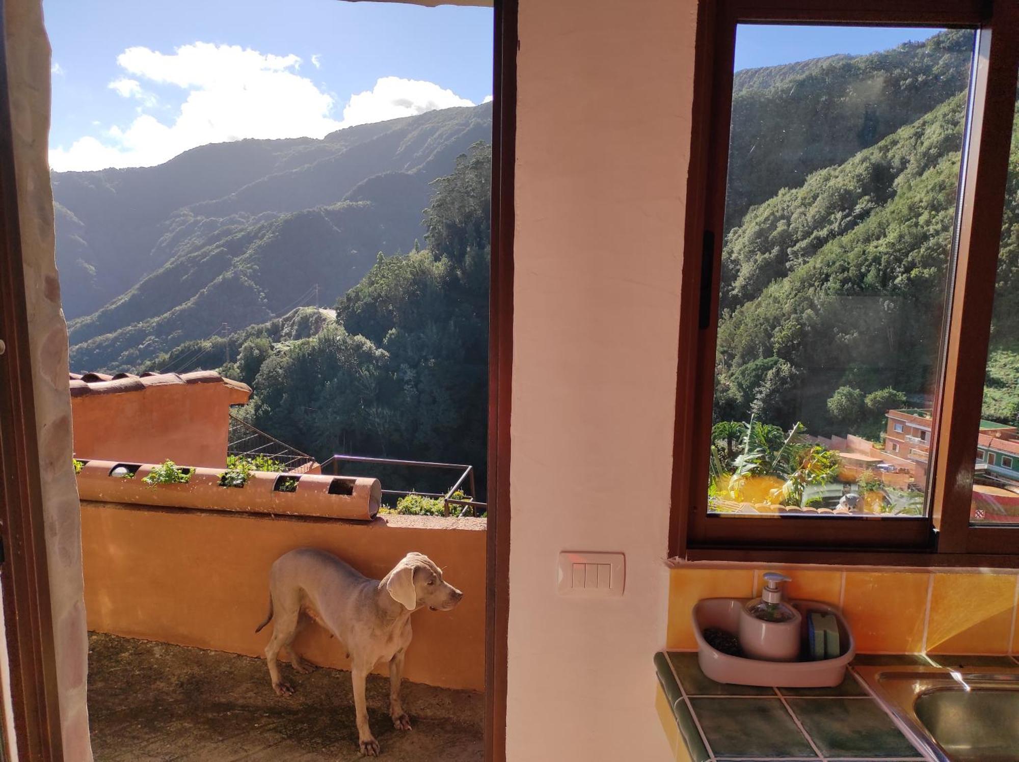 Apartamento Casa Montanas De Anaga
