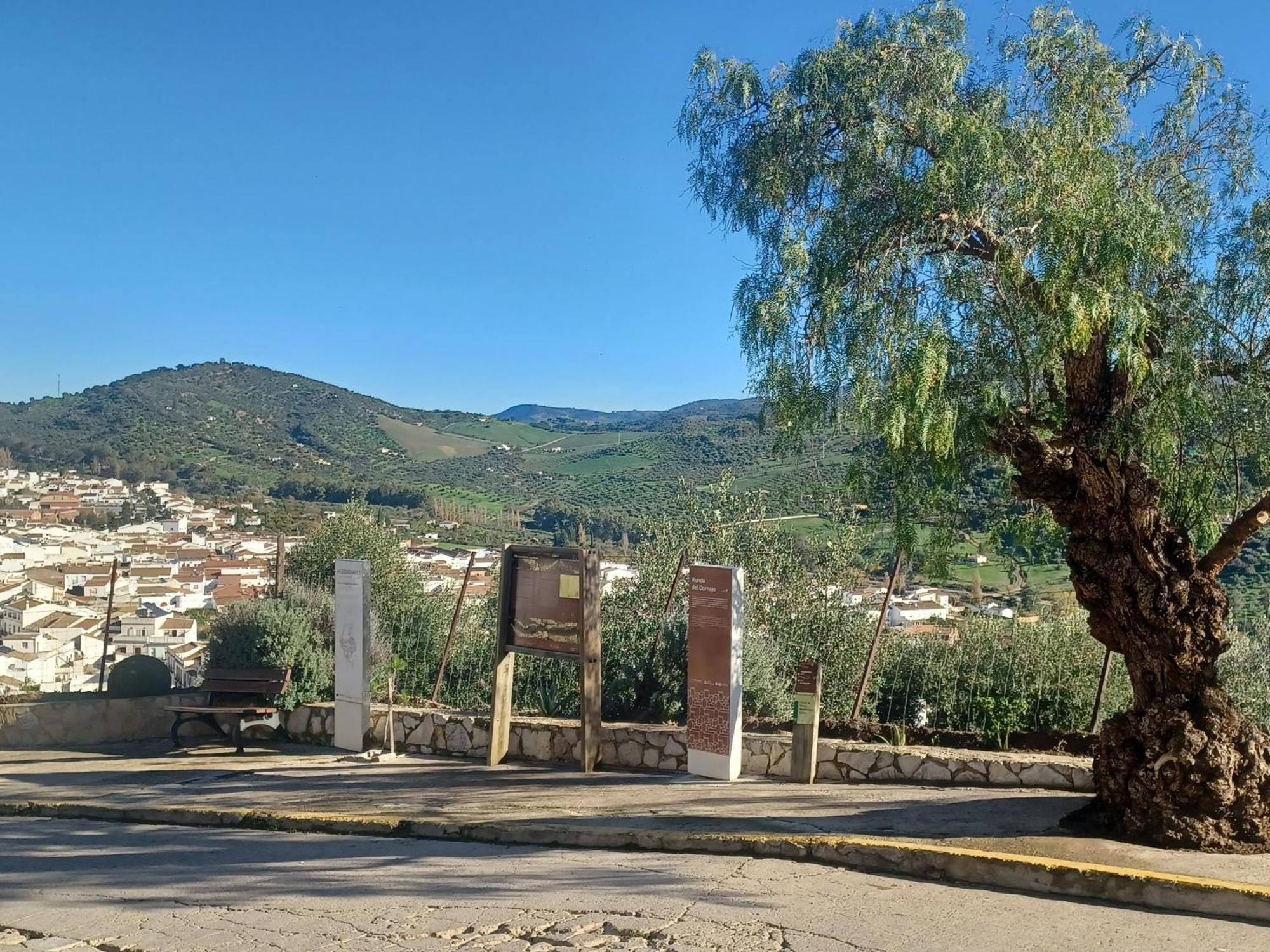 Сasa de vacaciones Casa Manuela. Algodonales