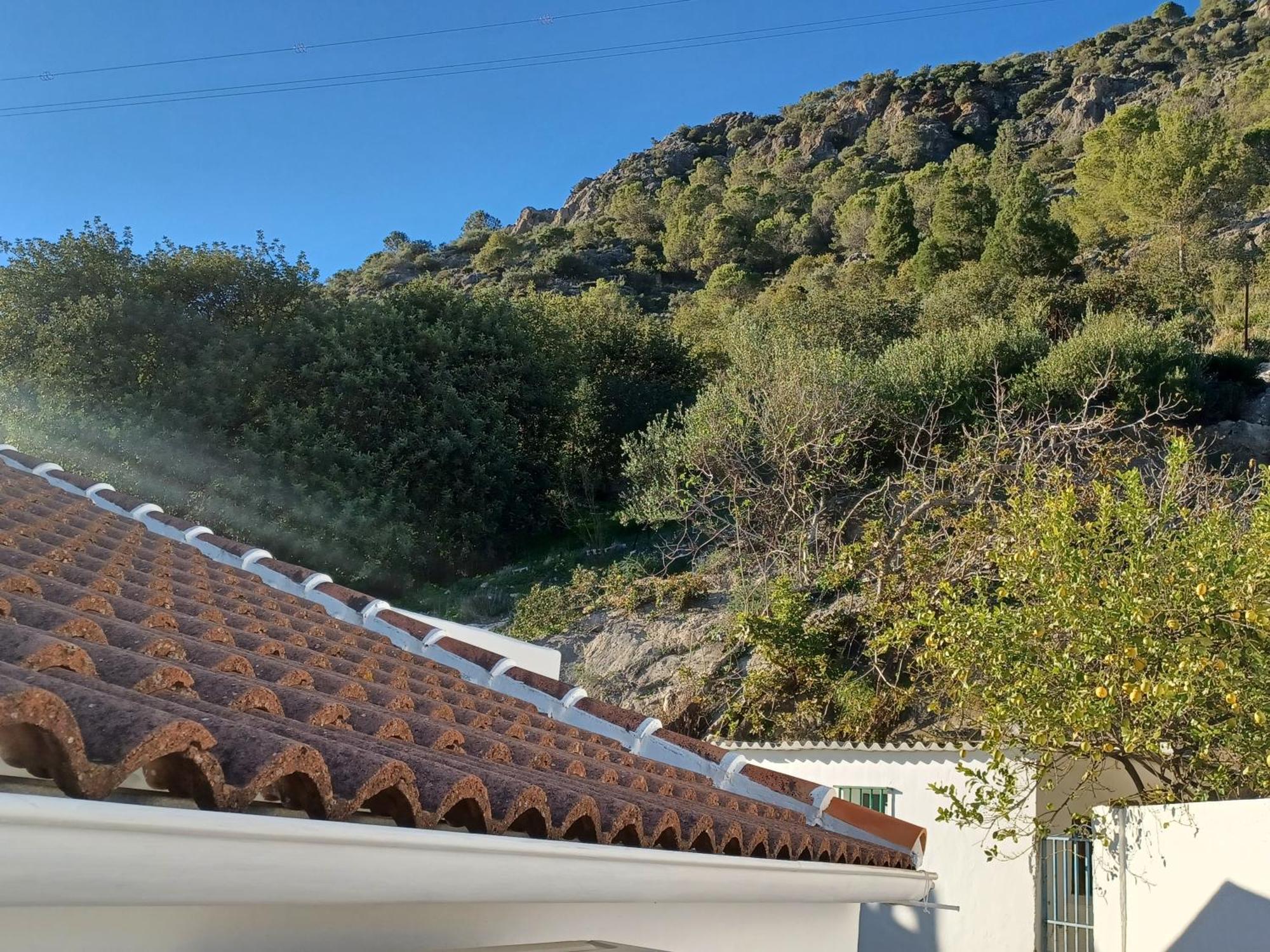 Casa Manuela. * Algodonales