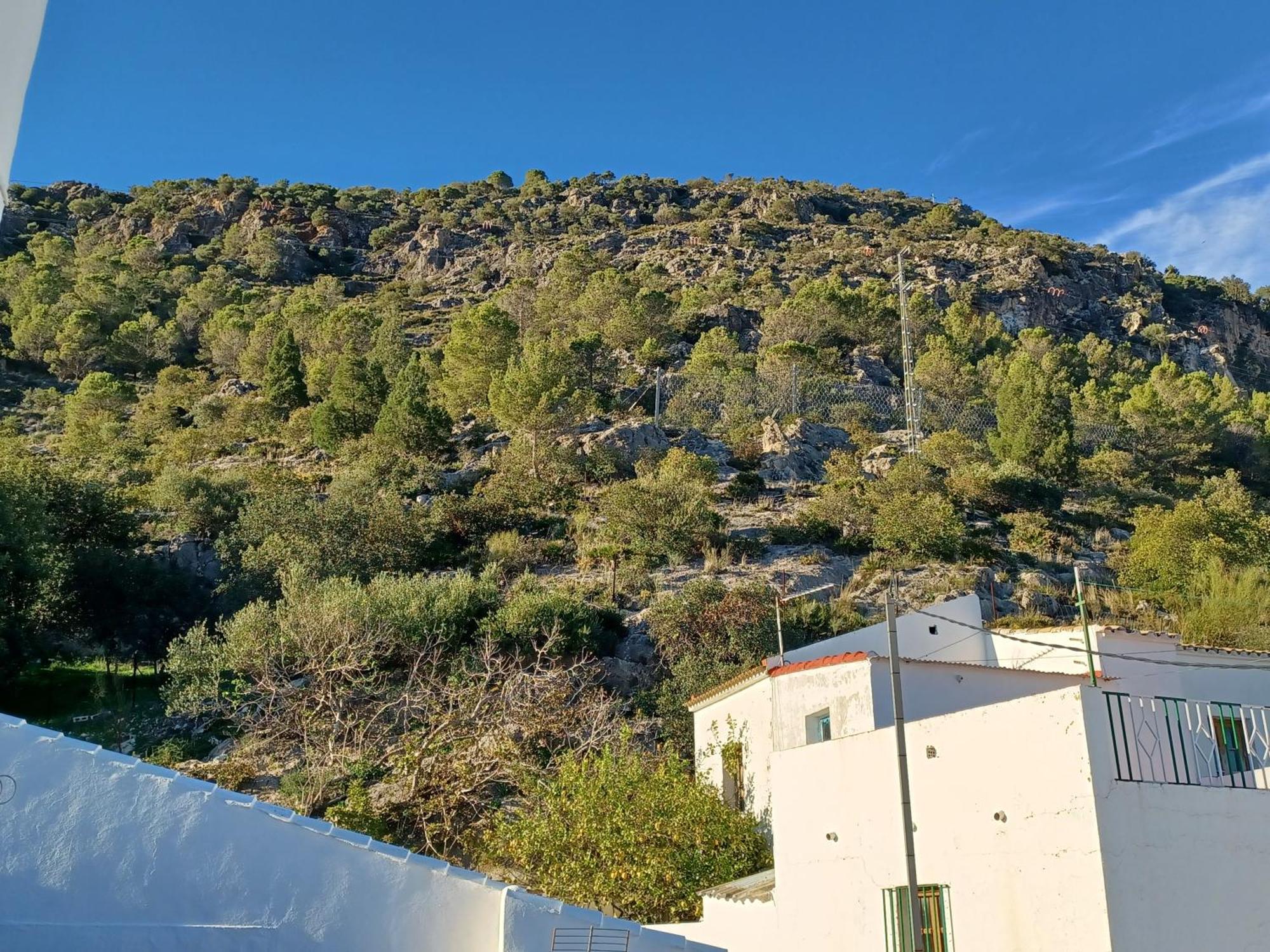 Сasa de vacaciones Casa Manuela. Algodonales