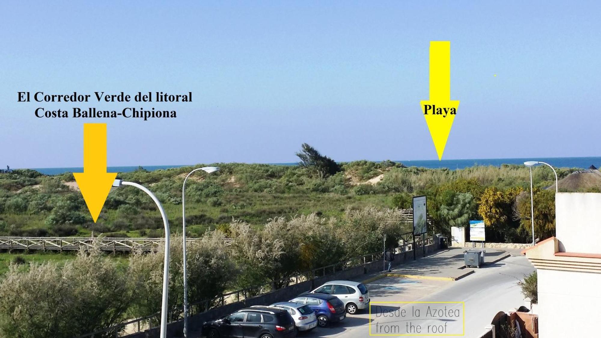 La Pavona 11 - 1ª Linea De Playa Сasa de vacaciones Chipiona