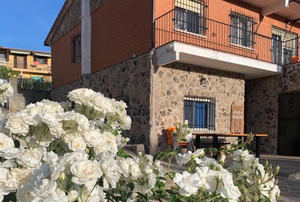 Holiday home Casa Balta Avila