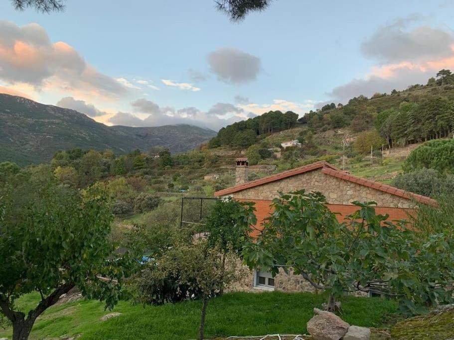 Casa Balta Avila