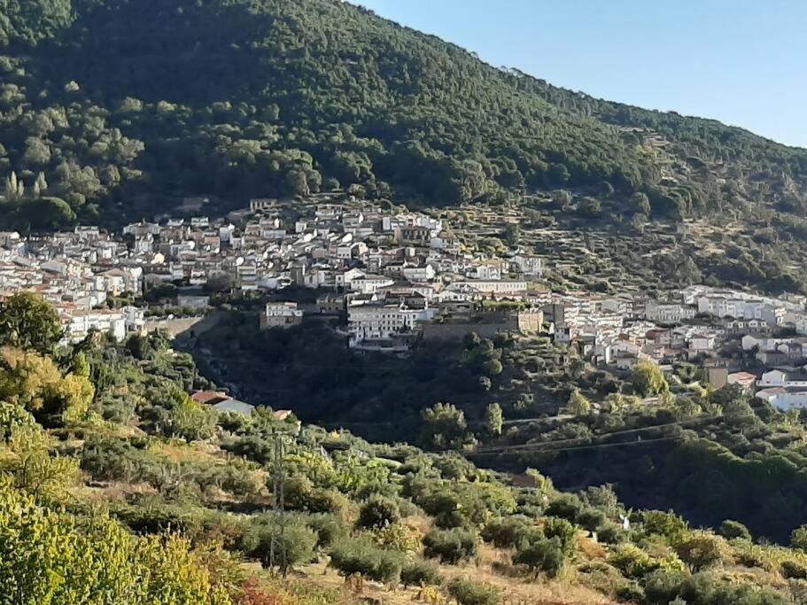 Casa Balta *