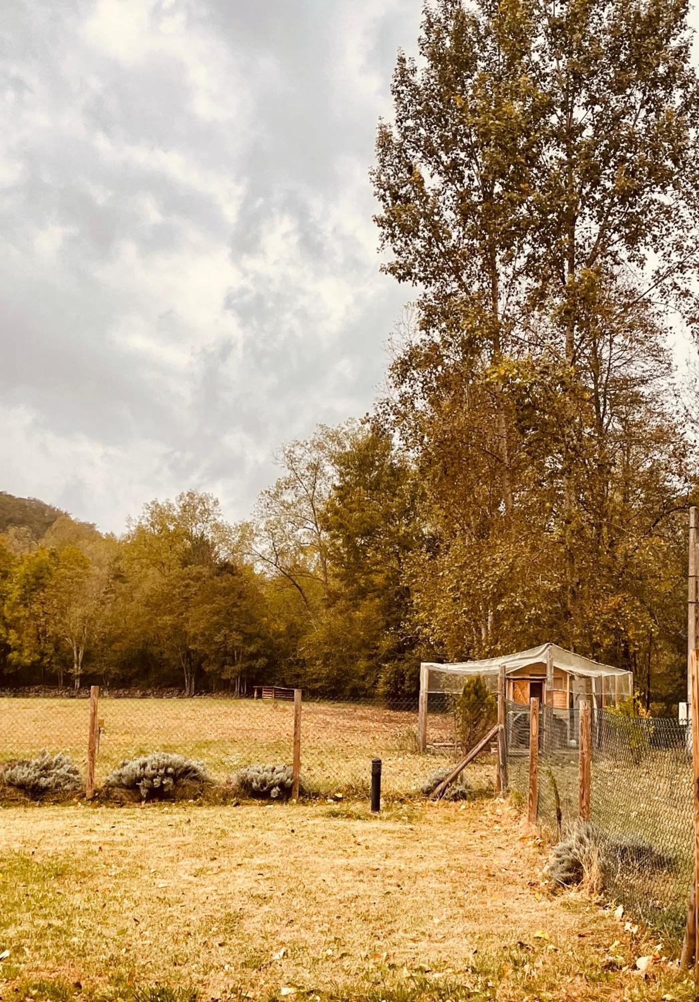 Torrotes Country house