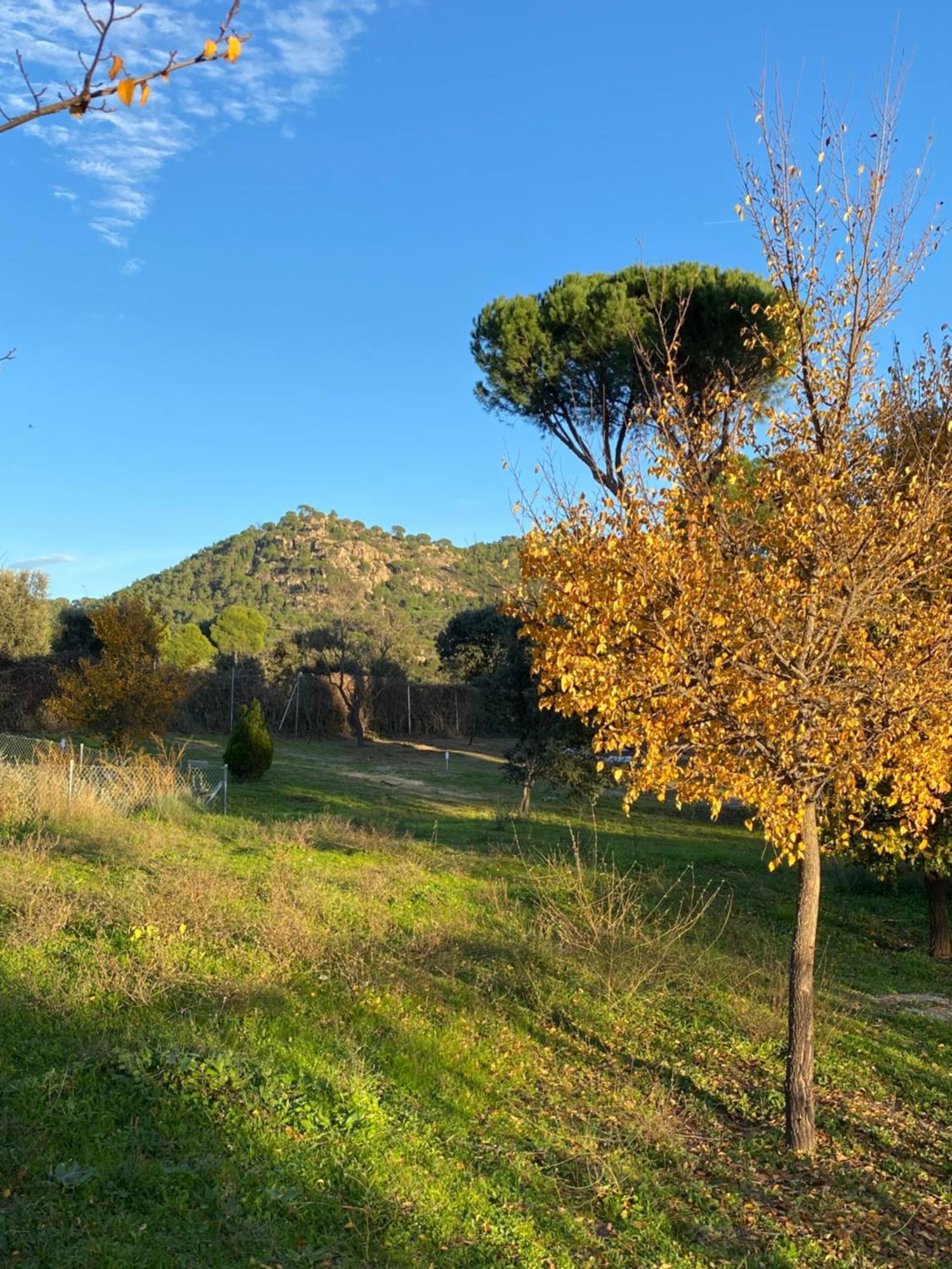Casa Valdesanmartin - Country House, 10500sqm, Pool, Paddel & Bbq El Tiemblo