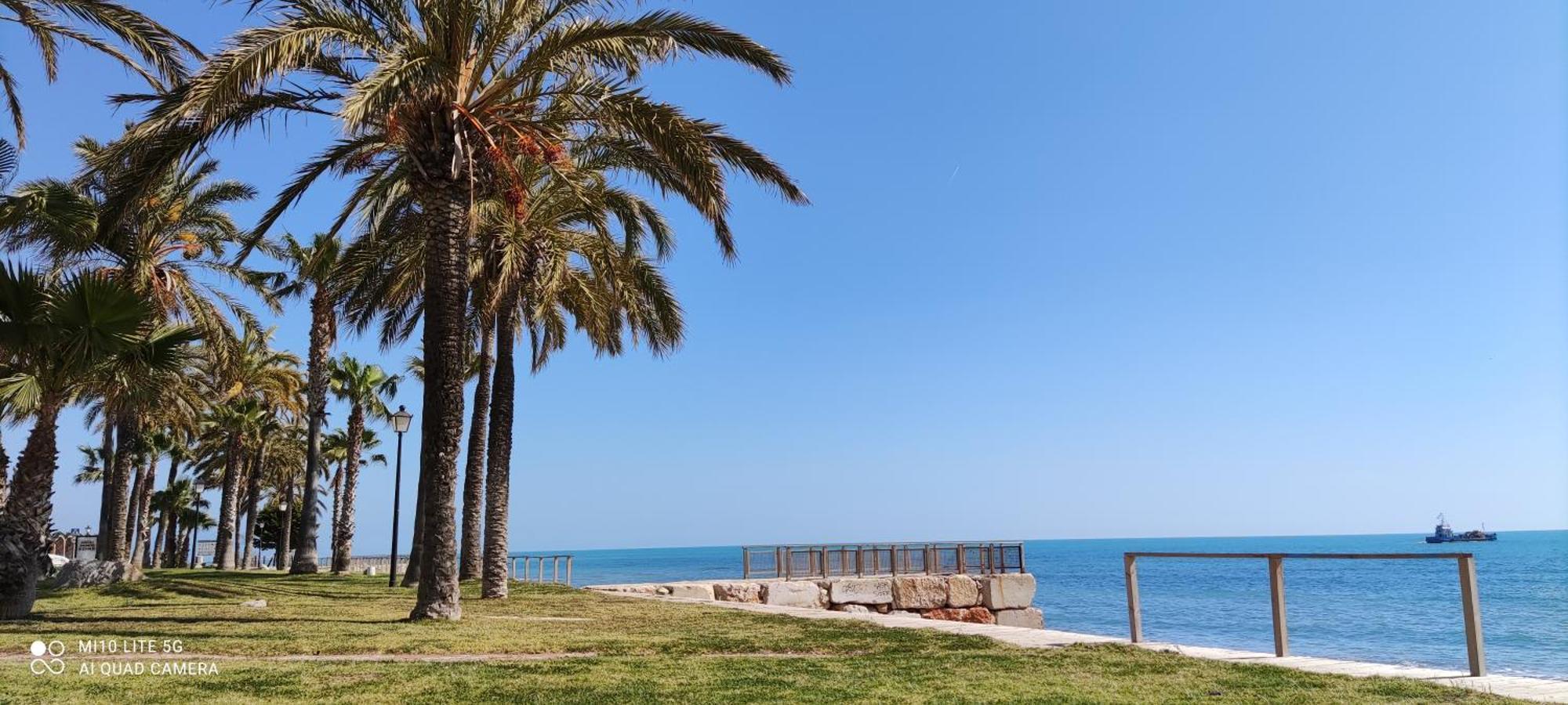 Apartamento Acv - Acapulco Ii-1ª Linea Planta 1 Sur *
